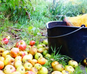 Engagementaktionstag auf der Streuobstwiese @ Streuobstwiese KEB