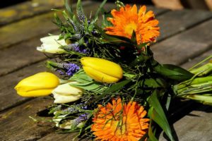 Blumen (image by Couleur on pixabay)