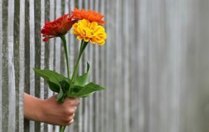 Themen-Frühstück: Mit Abstand zusammen halten – Kontakt zu Freiwilligen während der Corona-Pandemie @ Zoom