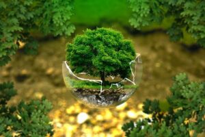 environmental-protection-g55528cc14_640